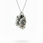 Silver necklace with a heart-shaped pendant on a white background
